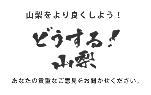 どうする山梨