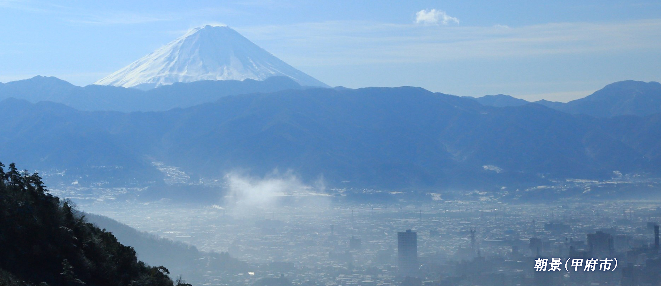 画像_5