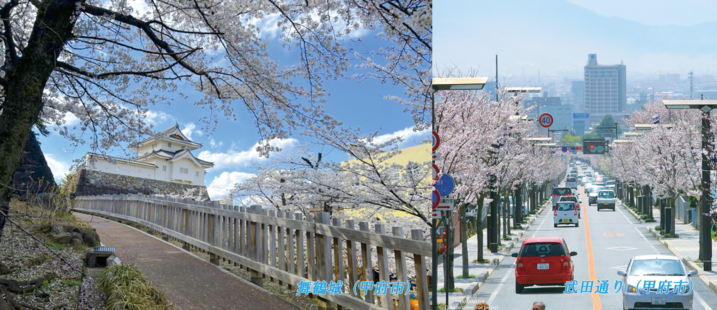画像_3